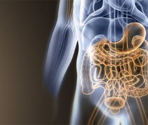 Gastrointestinal Health: Yogic Cure and Method