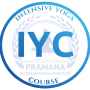 IYC blue IYC blue